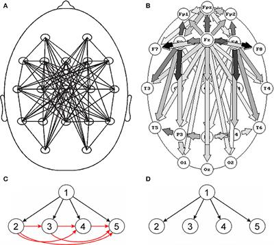 Is Graph Theoretical Analysis a Useful Tool for Quantification of Connectivity Obtained by Means of EEG/MEG Techniques?